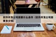 软件开发公司需要什么条件（软件开发公司需要多少钱）